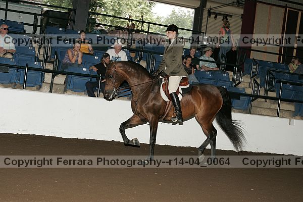 Proof Number r14-04_0064